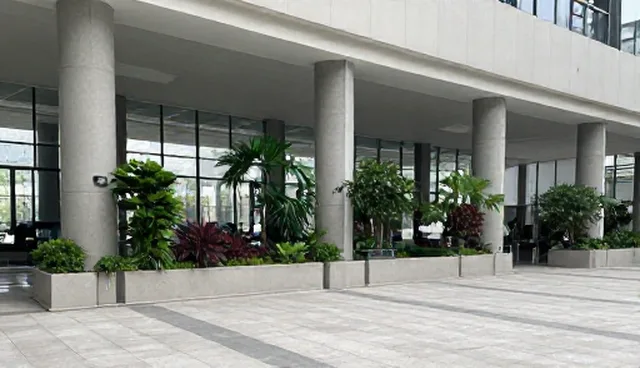 绿化养护服务套餐选型关注点，如何选择适合的套餐